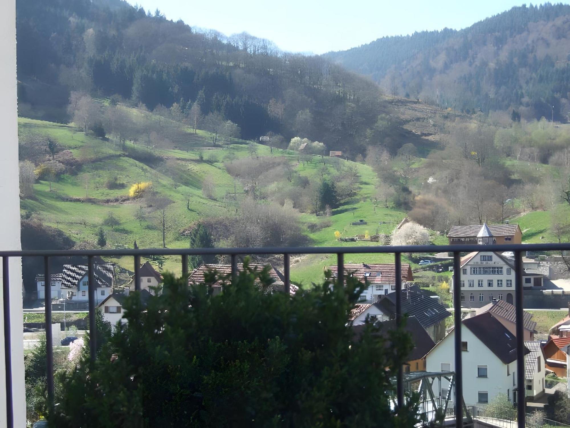 Regina'S Gaestehaus Weisenbach Екстер'єр фото