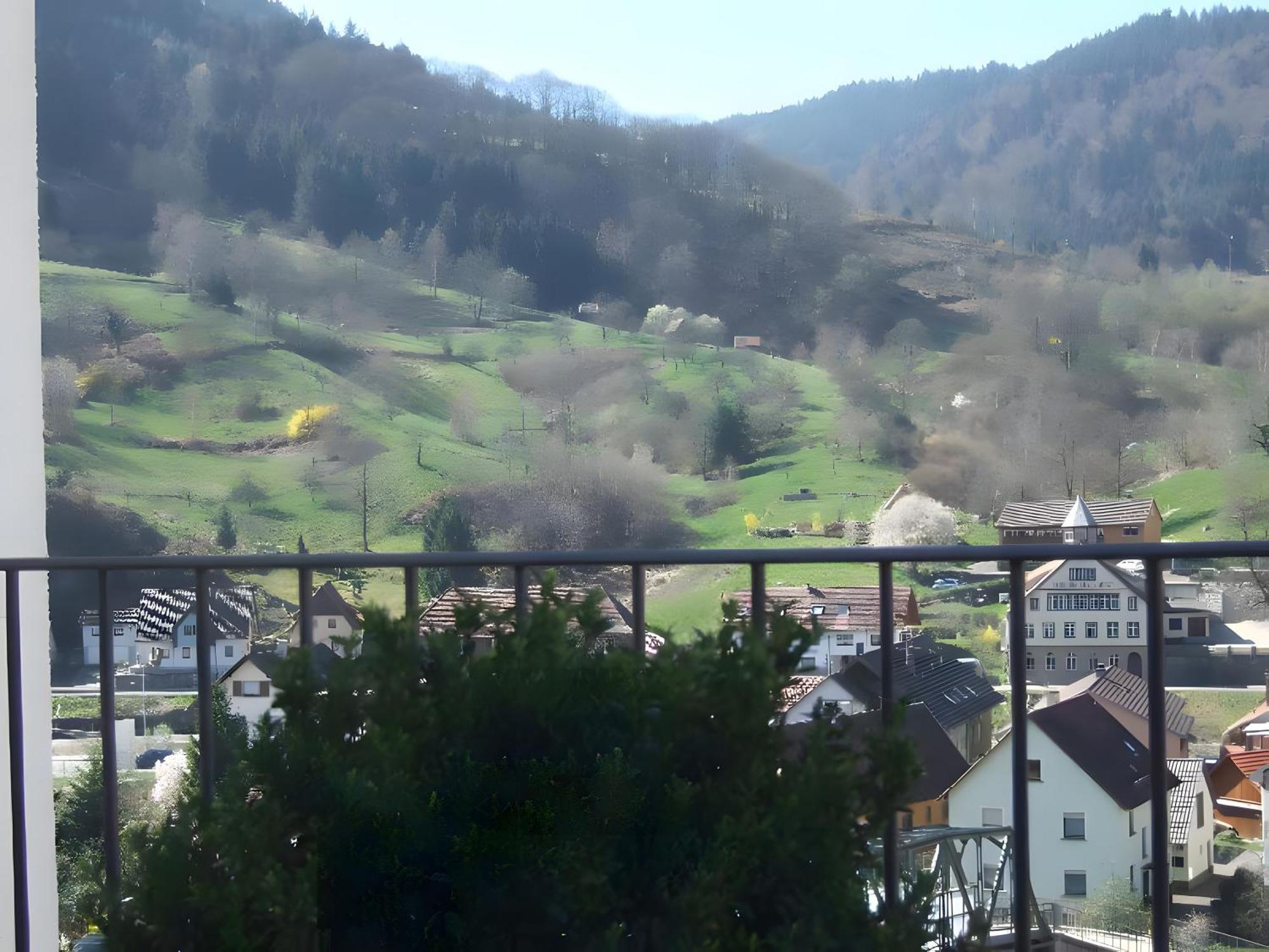 Regina'S Gaestehaus Weisenbach Екстер'єр фото